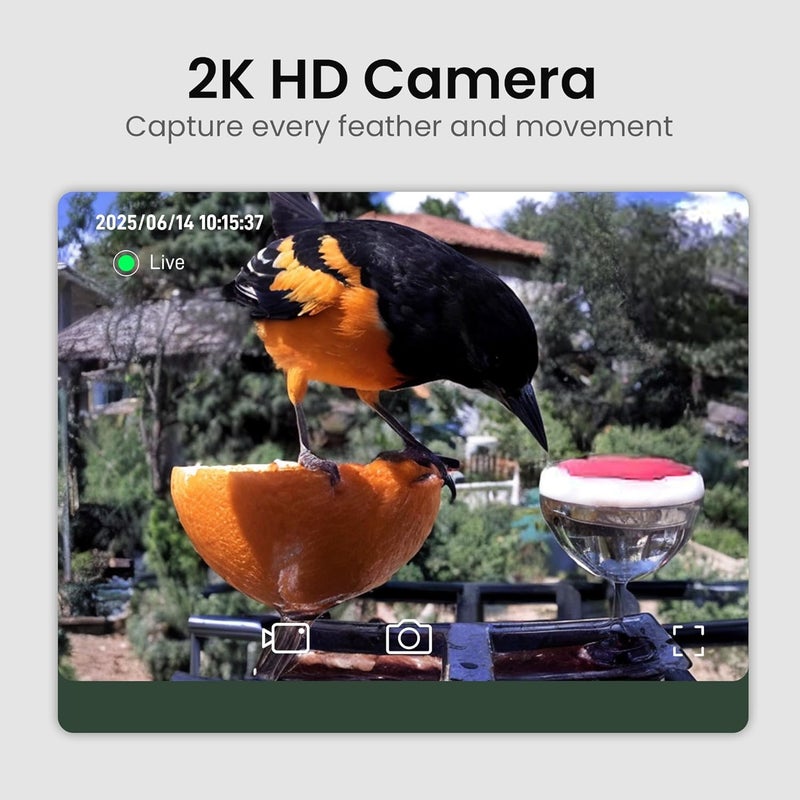 HEAPETS Smart Bird Feeder with Camera Solar Powered, 2K HD Video, AI Bird Species Identification, Instant Arrival Alerts, Weatherproof Design for Effortless Birdwatching, Best Gift for BirdLovers, Red - Image 2